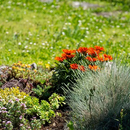 Daire Marija-2 By Interhome