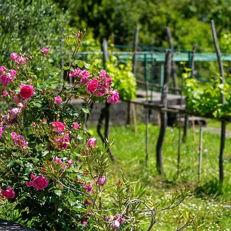 Marija-2 By Interhome *