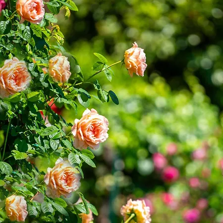 Marija-2 By Interhome * Lovran