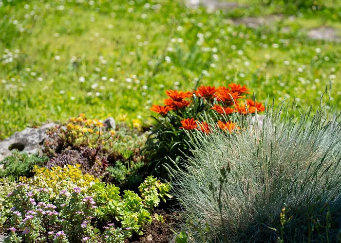 Apartamento Marija-2 By Interhome