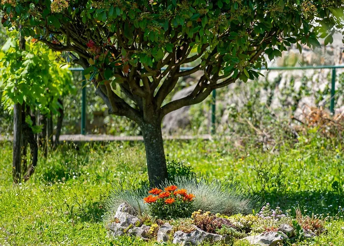 Marija-2 By Interhome Apartamento Lovran