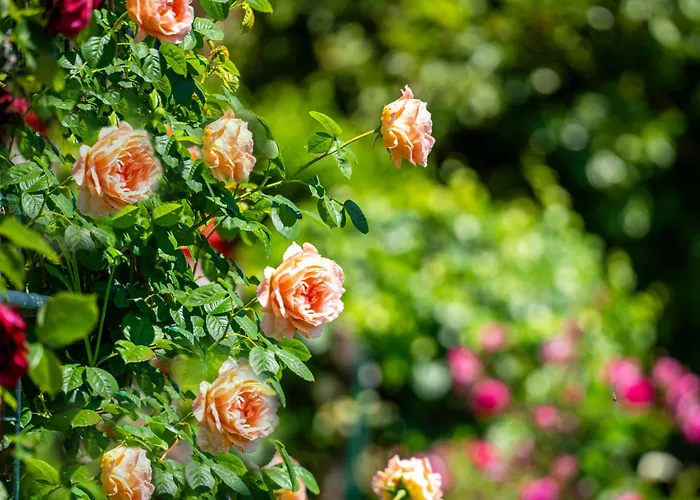 Marija-2 By Interhome * Lovran