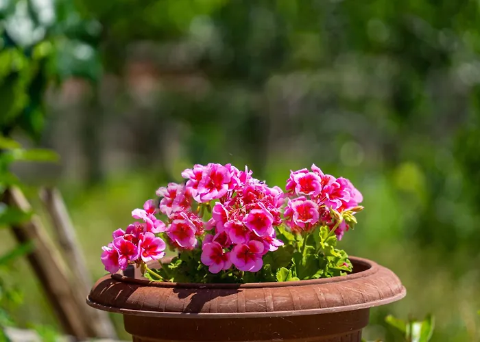 Marija-2 By Interhome