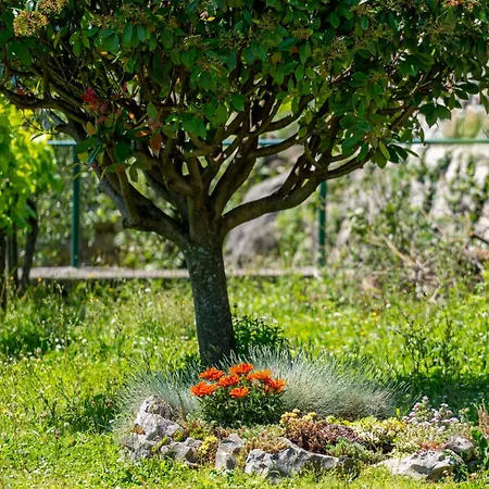 Marija-2 By Interhome 公寓 洛夫兰