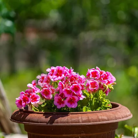 Marija-2 By Interhome